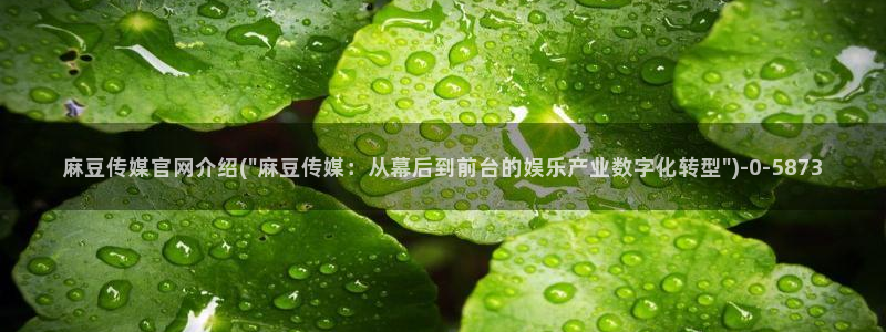 麻豆专题整理：麻豆传媒官网介绍(\