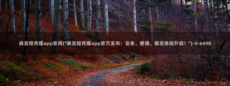 麻豆传媒在线观看