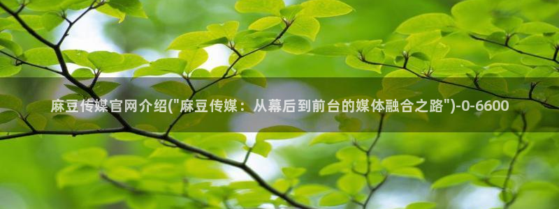 麻豆视频伪原创