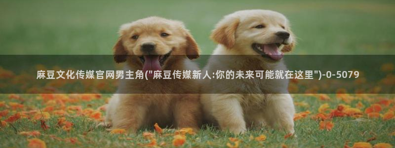 麻豆视频站内文案