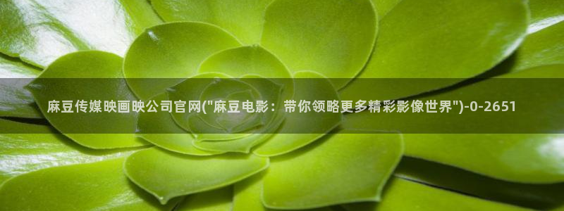 麻豆拍摄花絮