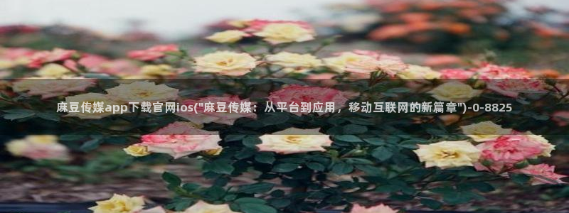 麻豆视频合集
