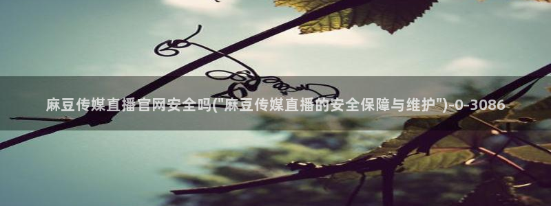 麻豆视频分类规则