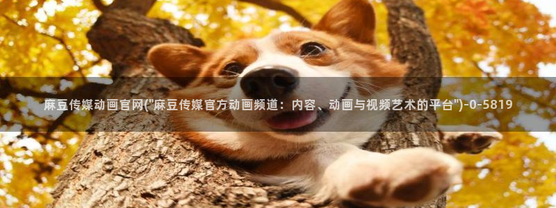 麻豆视频评分