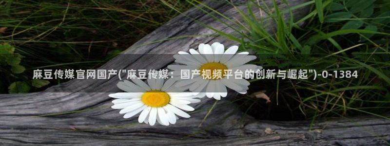 麻豆精选片单