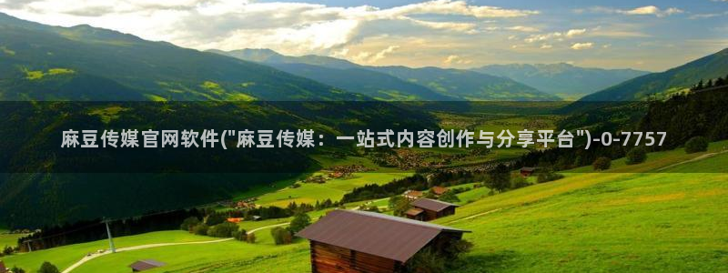 麻豆视频网站