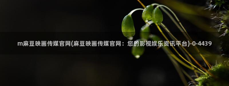 麻豆视频原创文案