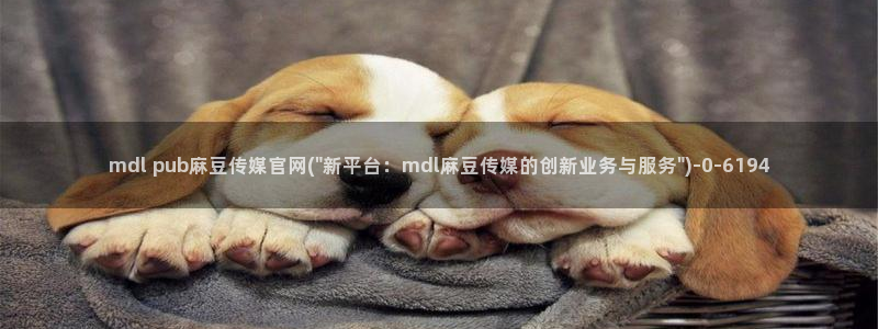麻豆视频长尾关键词