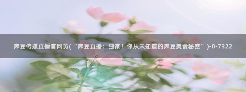 麻豆视频推荐