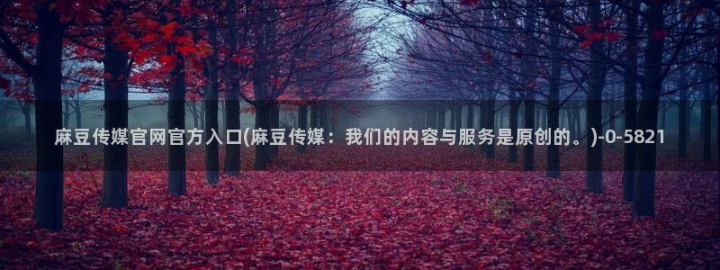 麻豆剧情描述
