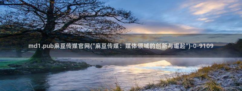 麻豆分类库