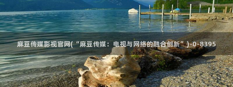 麻豆SEO模板