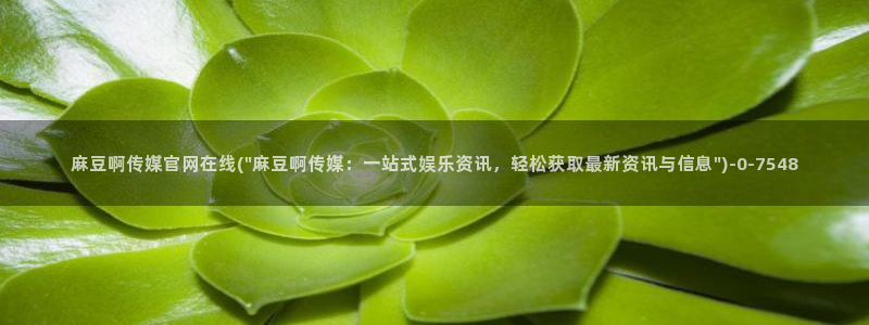 麻豆视频排名词