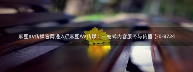 麻豆剧情描述