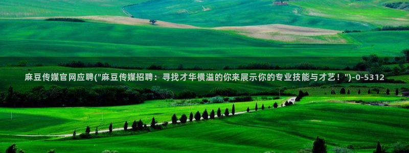 麻豆视频更新