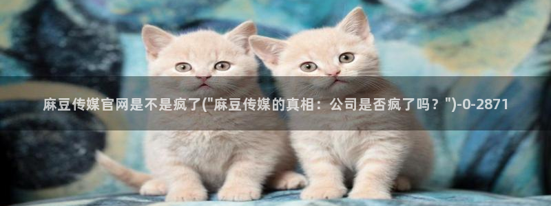 麻豆精选视频
