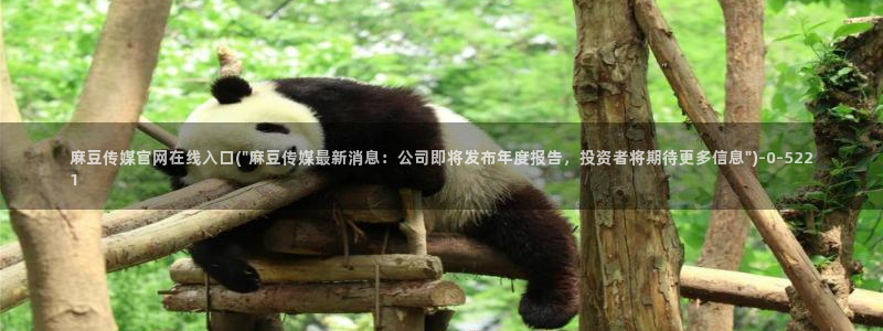 麻豆影视