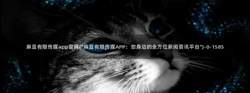 麻豆视频专题维护