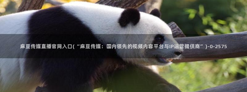 麻豆合集页