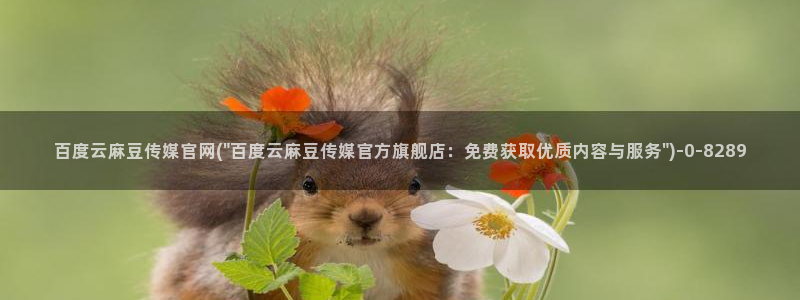 麻豆职场剧情
