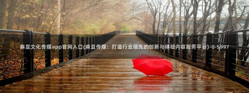 麻豆视频文章标题
