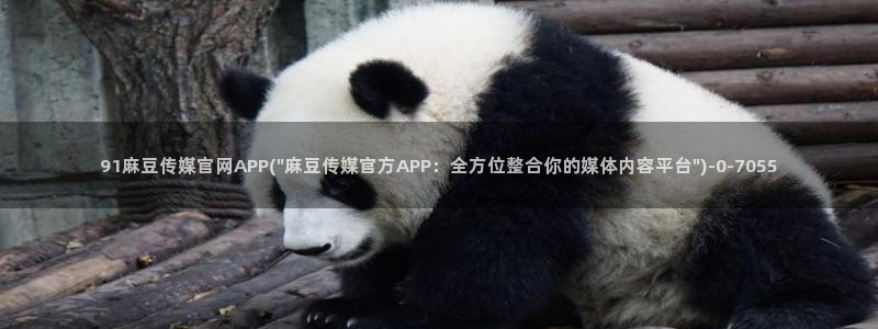 麻豆视频栏目文案