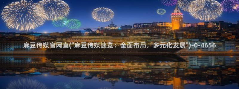 麻豆视频用户体验