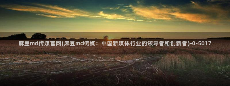 麻豆视频在线观看