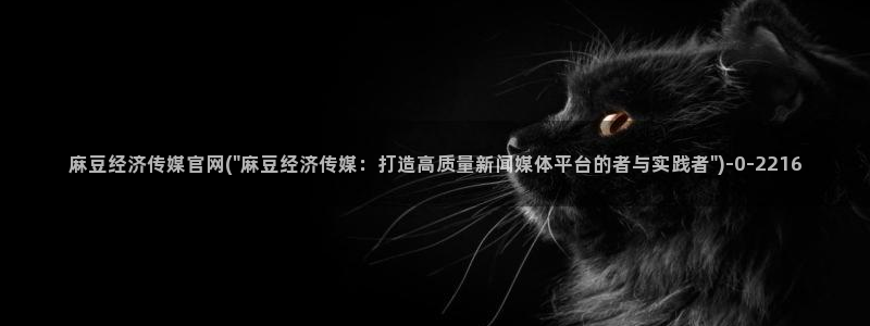 麻豆视频网站