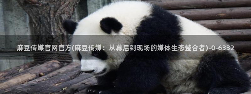 麻豆影视资讯