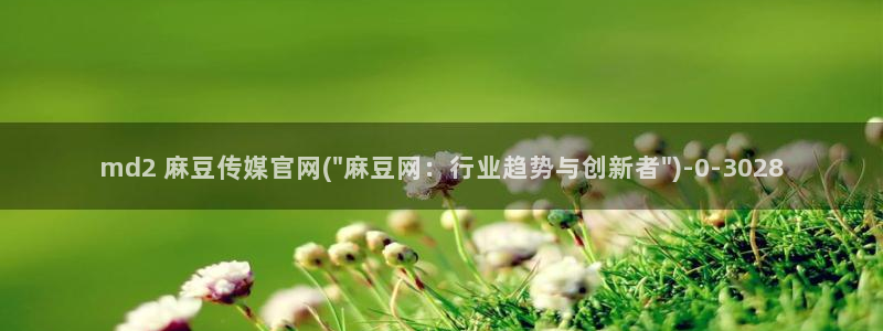 麻豆视频盘点