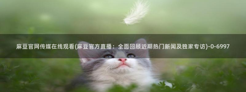 麻豆视频高流量词