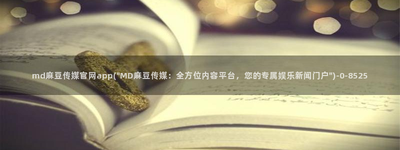 麻豆视频站内文案