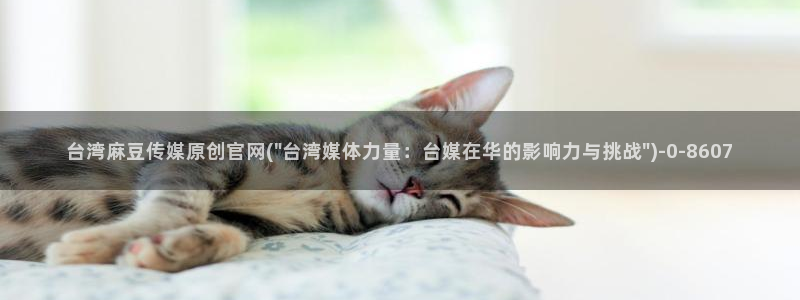 麻豆演员标题