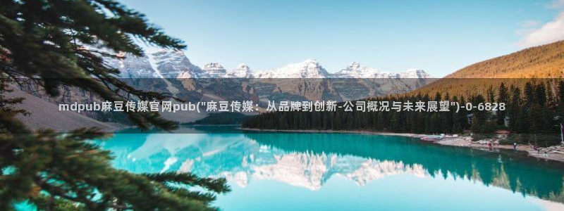 麻豆高口碑视频