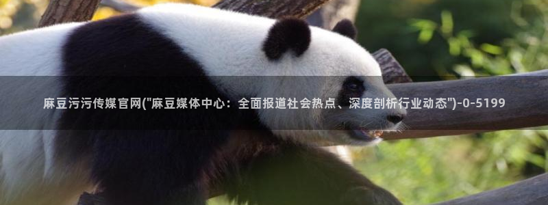 麻豆精选页