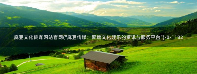 麻豆视频专题维护