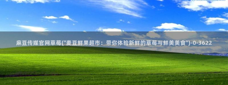 麻豆视频专题