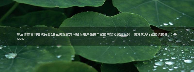 麻豆演员