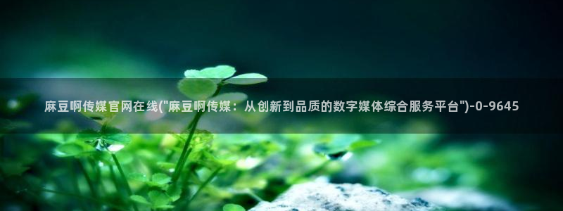 麻豆视频盘点文案